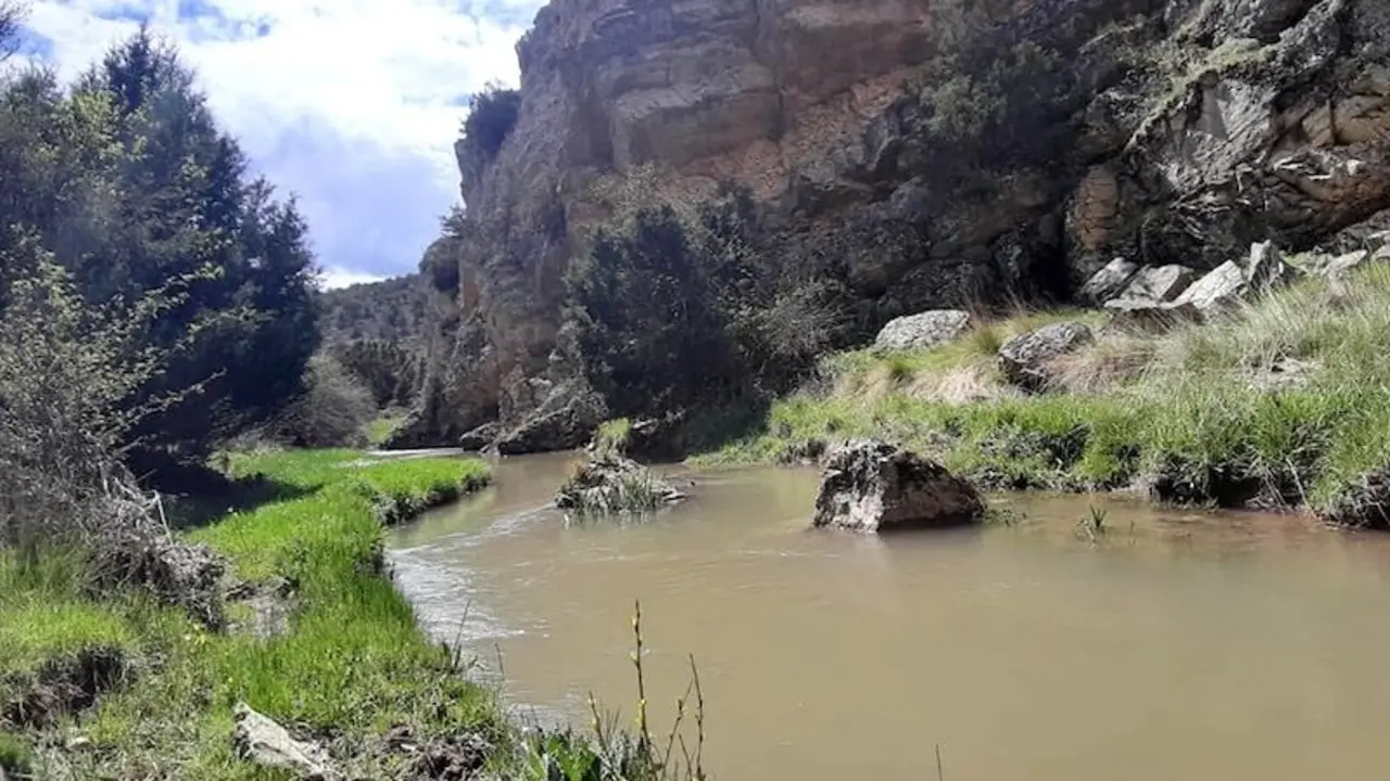 Alertan de un proyecto de avicultura intensiva que amenaza Valle del Mesa