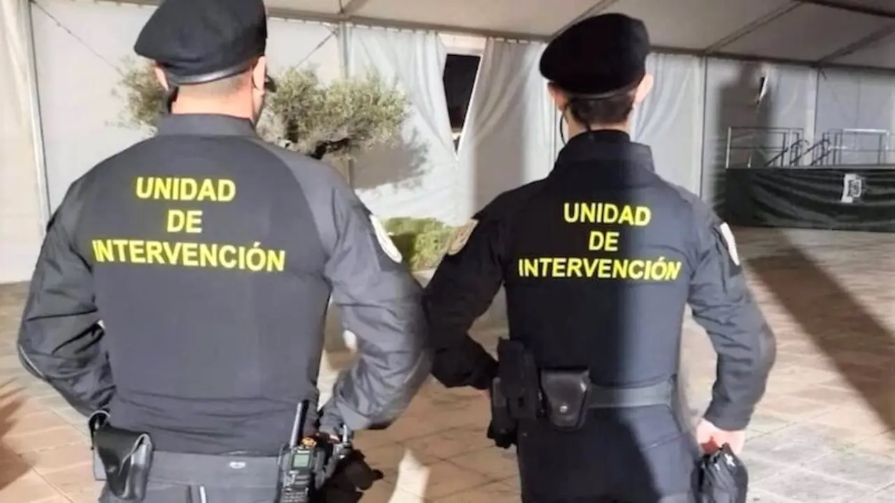 Dos detenidos de una trama que prestaba servicios de seguridad sin tener autorización