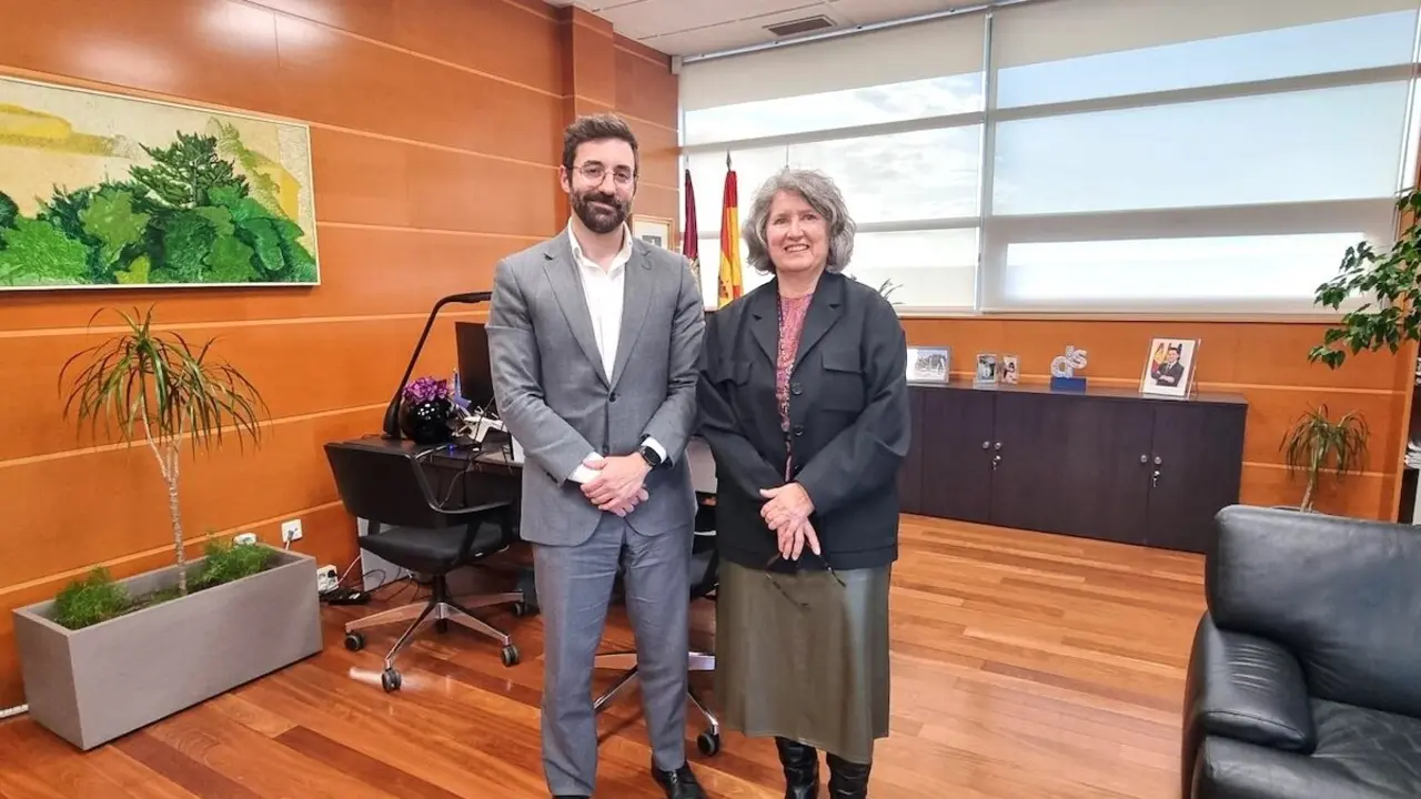 Castilla-La Mancha pide que sus demandas se plasmen en la Red de Transporte de Energía Eléctrica