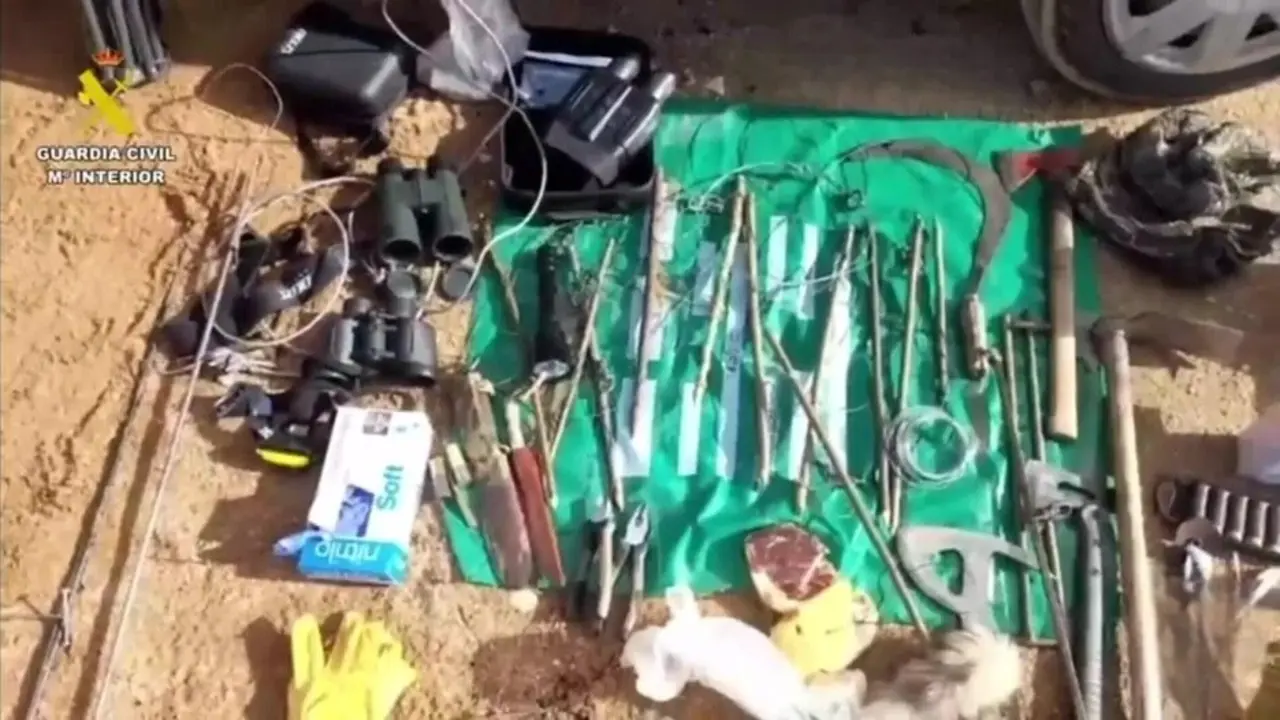 Investigado por usar lazos de cable de acero en un coto de caza donde hay linces