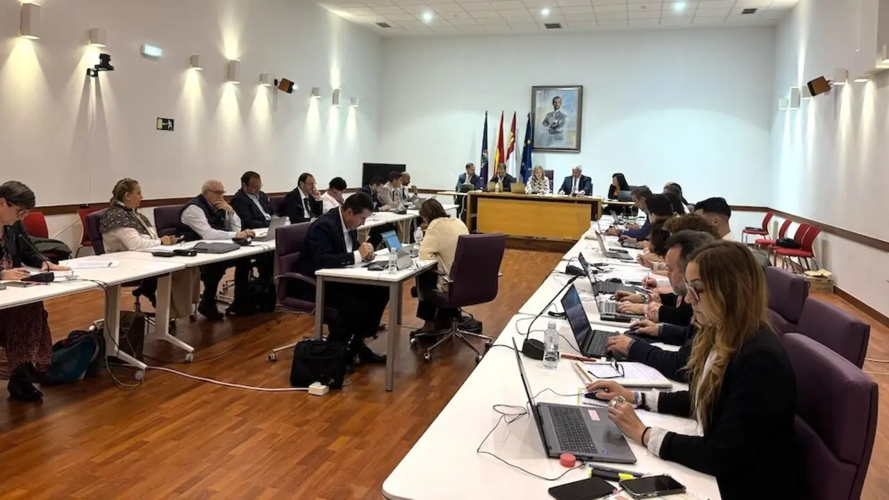 En la imagen un instante del Pleno del Ayuntamiento de Guadalajara celebrado este viernes en el consistorio