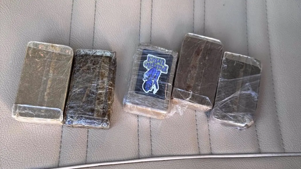 Seis detenidos por tráfico de drogas en distintos operativos en Guadalajara