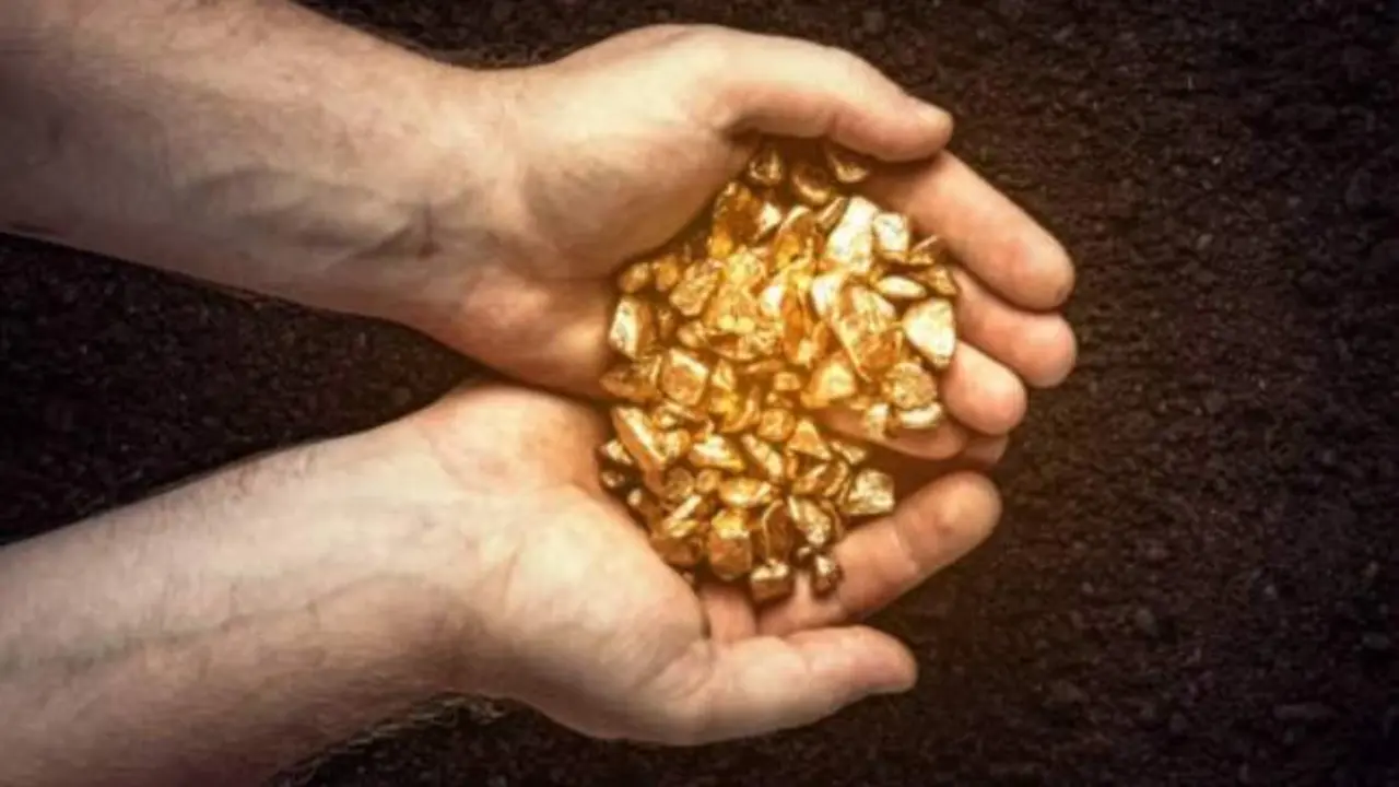 Encuentra miles de millones en oro en un terreno suyo, pero la alegría le dura poco