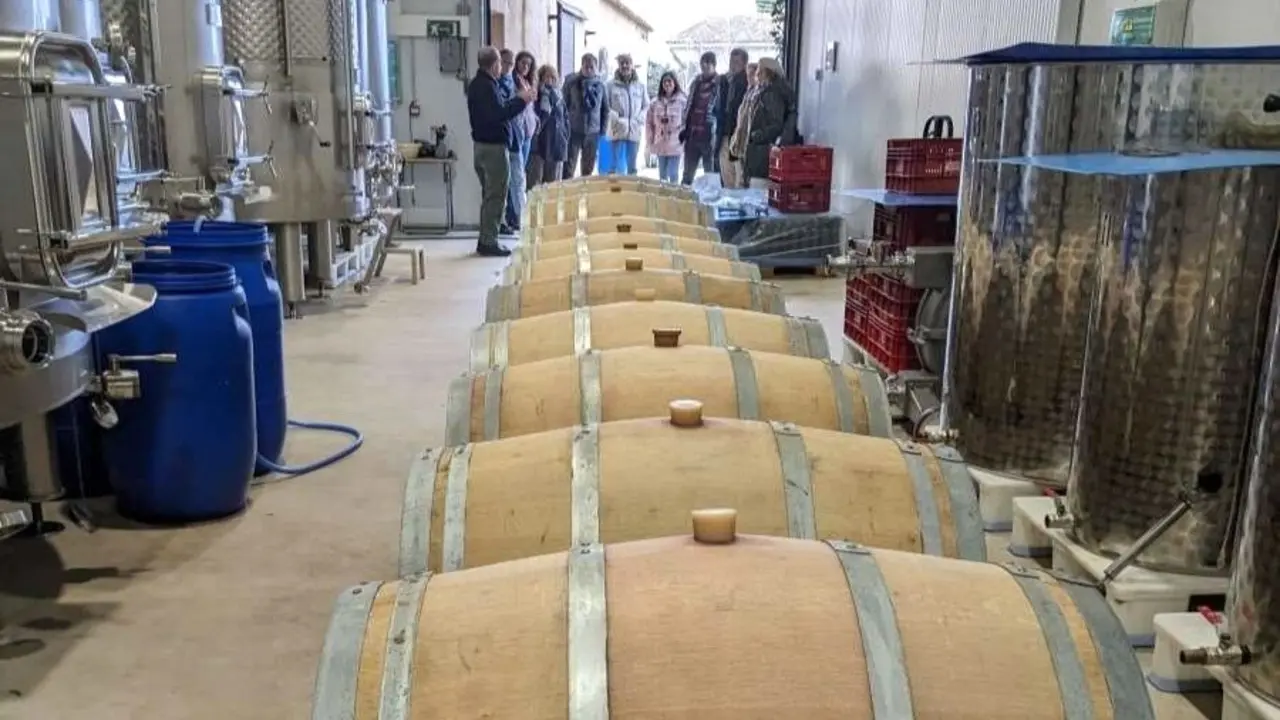Bodegas La Era, trabajo artesano que hace eternas viñas centenarias con labor ecológica, vino, enoturismo, barricas,