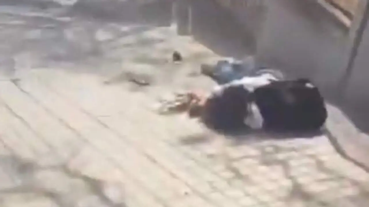 VIDEO. Brutal paliza grupal a un chico menor de edad a las puertas de un instituto