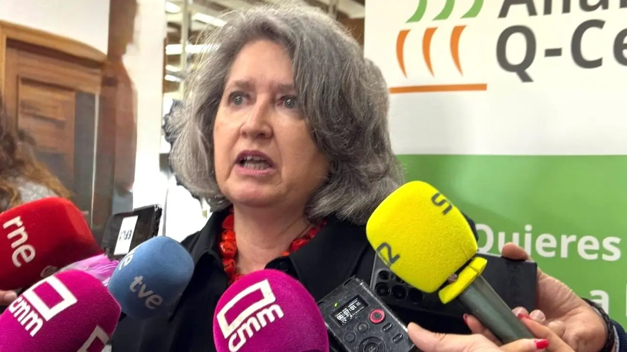 La consejera de Desarrollo Sostenible de Castilla-La Mancha, Mercedes Gómez, atendiendo a los medios de comunicación este jueves en Toledo
