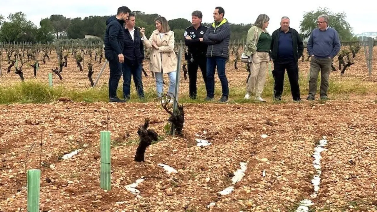 Una fuerte granizada daña cultivos en Madrigueras y Tarazona de la Mancha