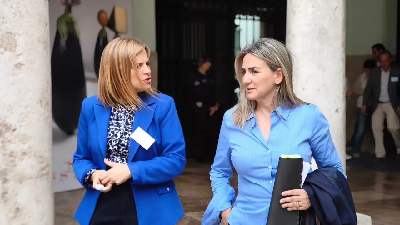 La delegada del Gobierno en Castilla-La Mancha, Milagros Tolón, ha participado este jueves en las primera sesión de las XXX Jornadas Europeas de los Representantes Territoriales del Estado (AERTE), que se celebran estos días en Valencia