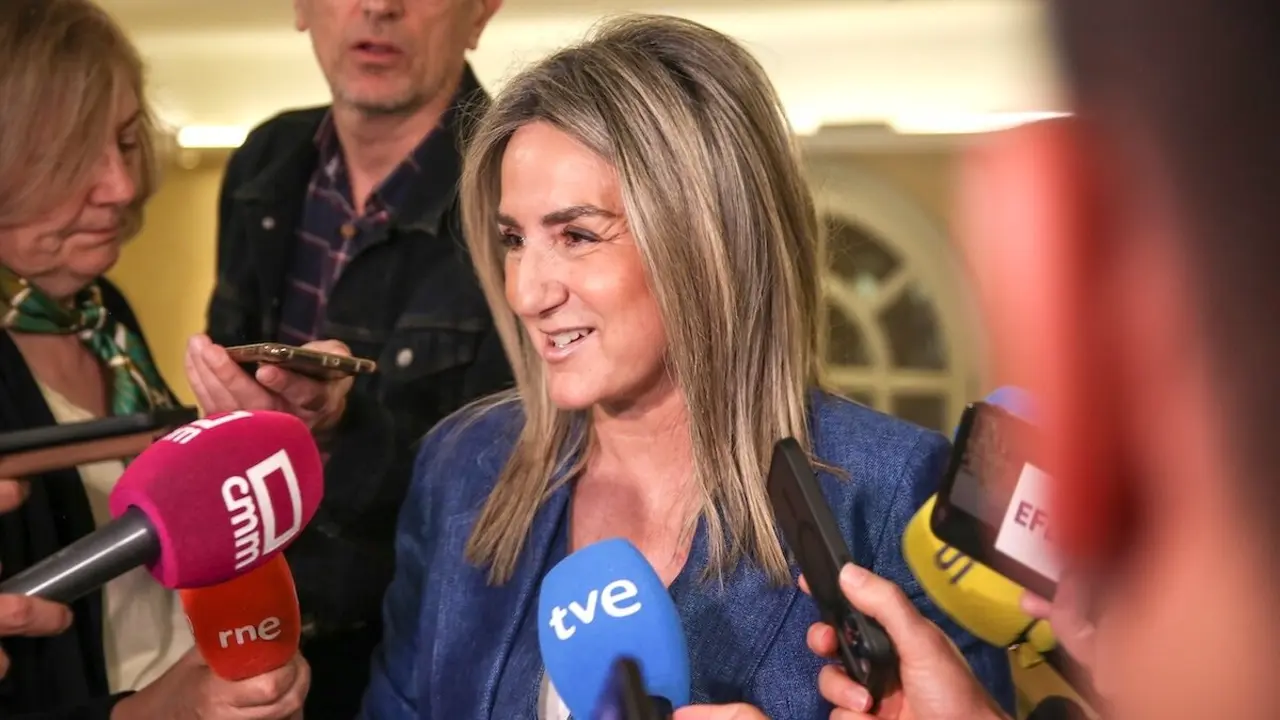 La delegada del Gobierno en Castilla-La Mancha, Milagros Tolón, atendiendo a los medios de comunicación este jueves en Toledo