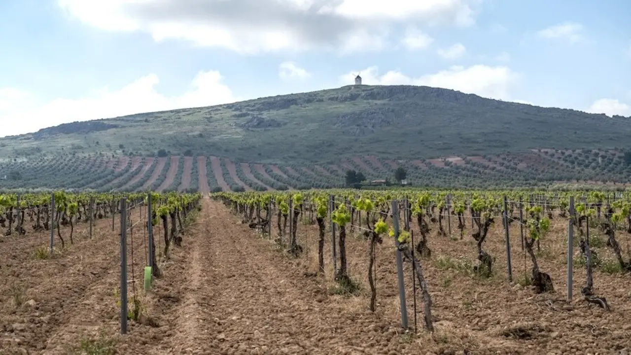 La CHG levanta las restricciones de agua en varias masas de agua del Alto Guadiana
