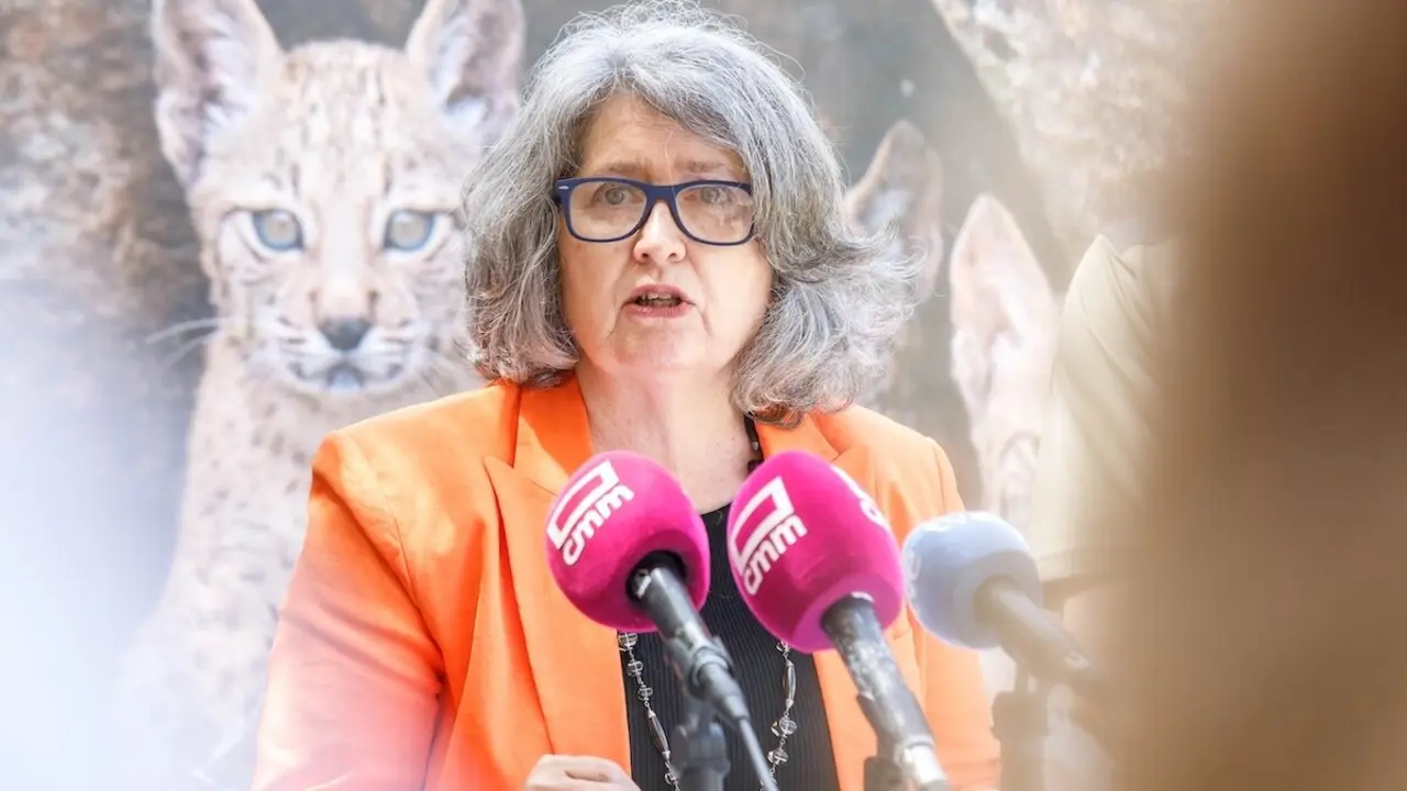 La consejera de Desarrollo Sostenible de Castilla-La Mancha, Mercedes Gómez, este jueves en rueda de prensa en Toledo