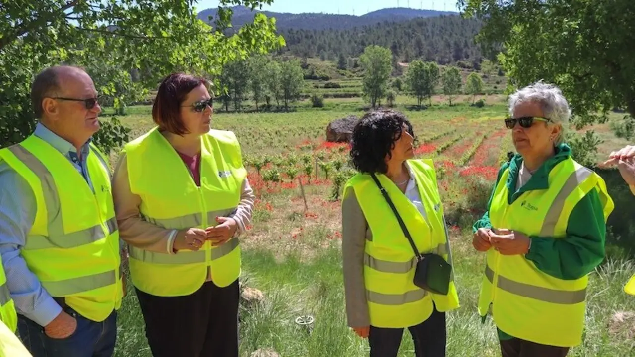 Agricultura destina 3,4 millones a trabajos de recuperación tras la dana en Mira (Cuenca)