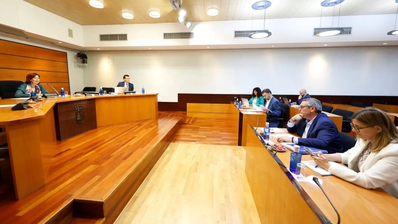 En la imagen un instante de la Comisión de Agricultura de las Cortes de Castilla-La Mancha celebrada este miércoles en el Parlamento regional