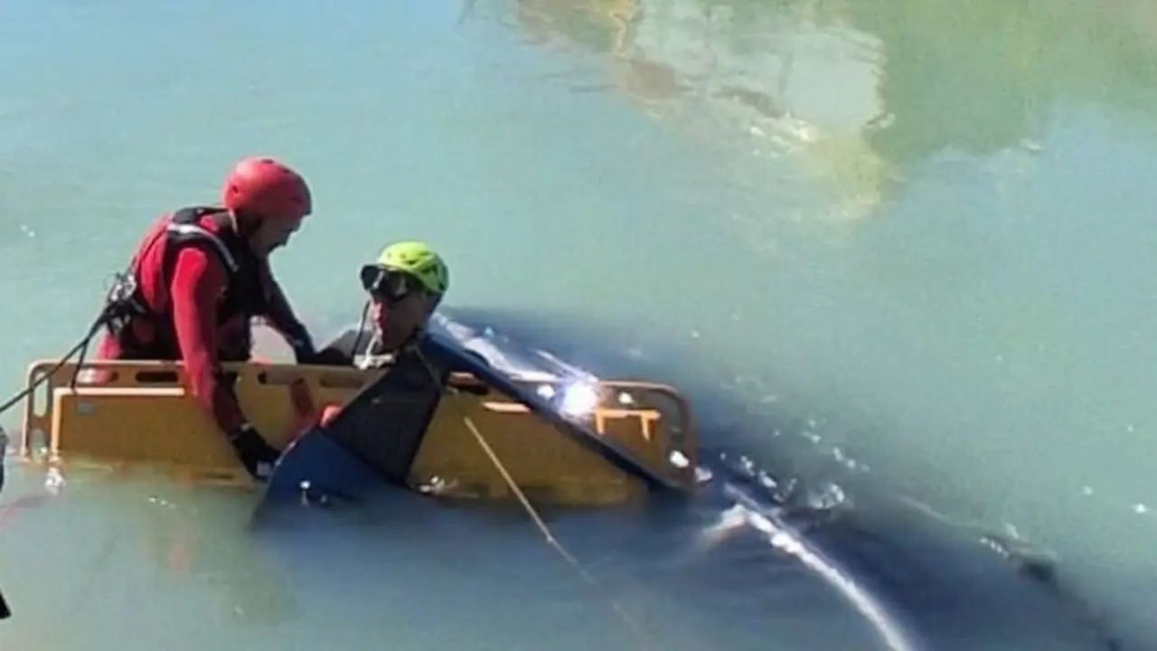 Muere un conductor tras salirse de la carretera su coche y caer en un canal