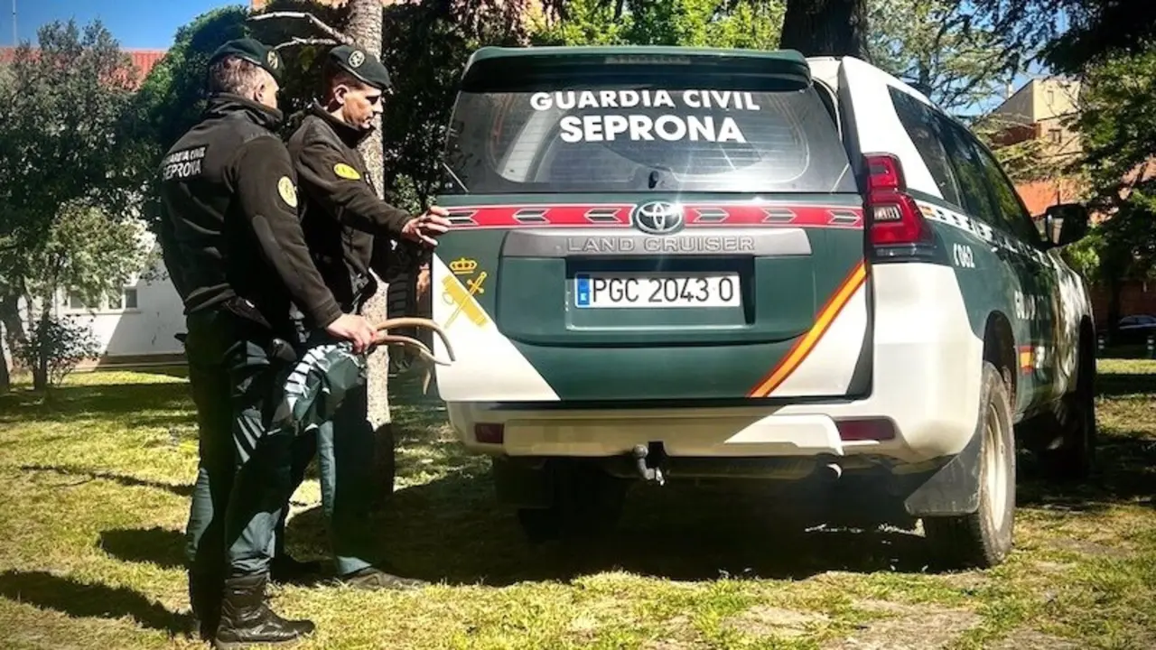 Investigan a un joven por guardar 15 trofeos de caza mayor en un arcón frigorífico