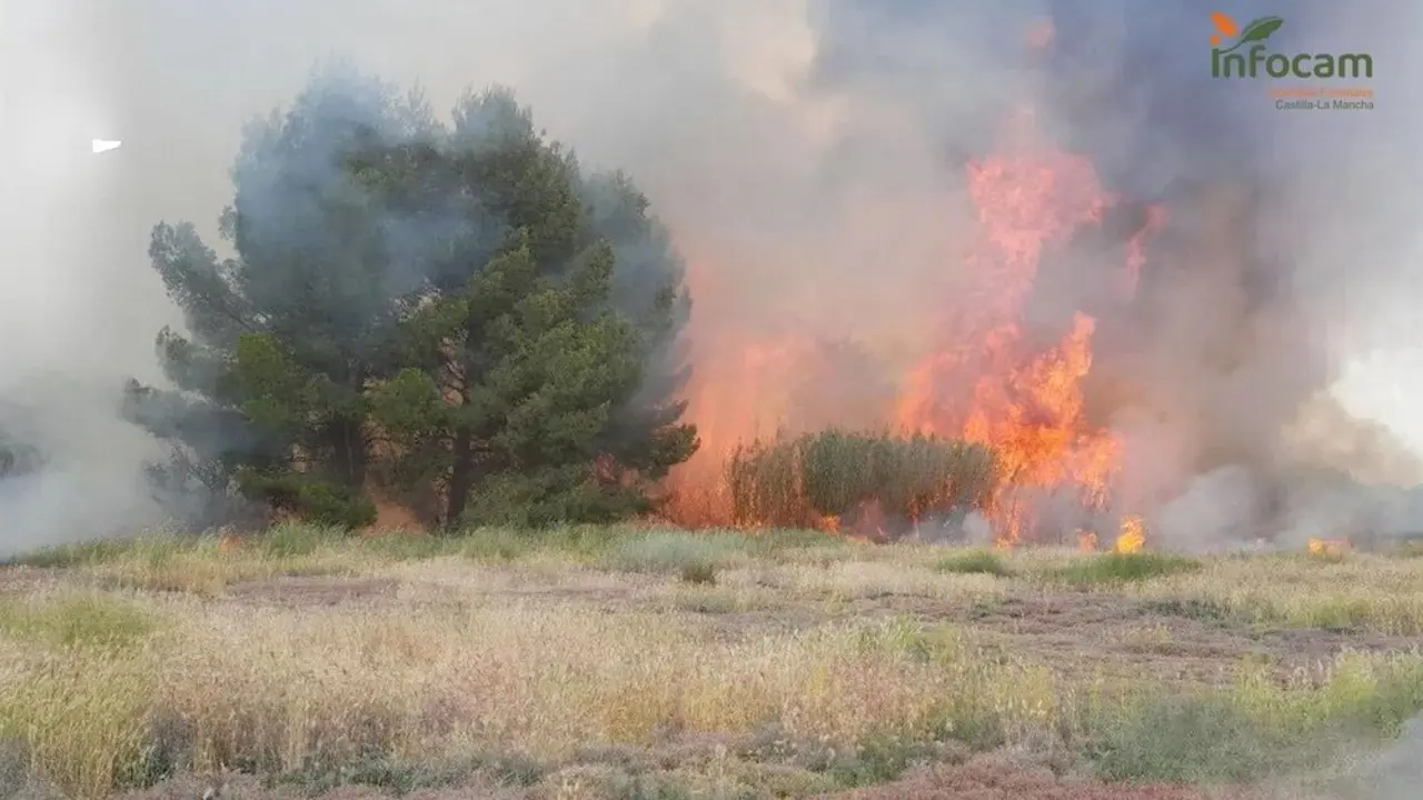 Controlado un incendio forestal declarado en el término de La Puebla de Almoradiel (Toledo)
