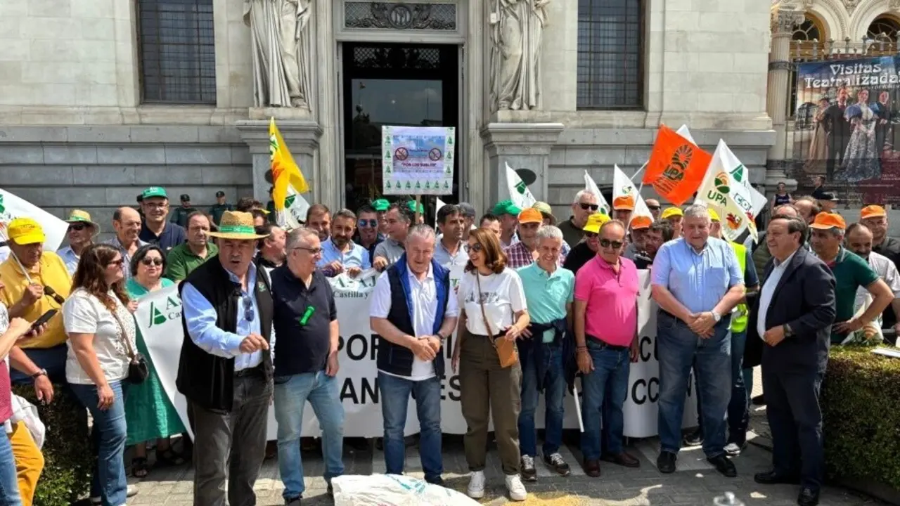 Cientos de agricultores exigen en Madrid respuestas ante los bajos precios del cereal
