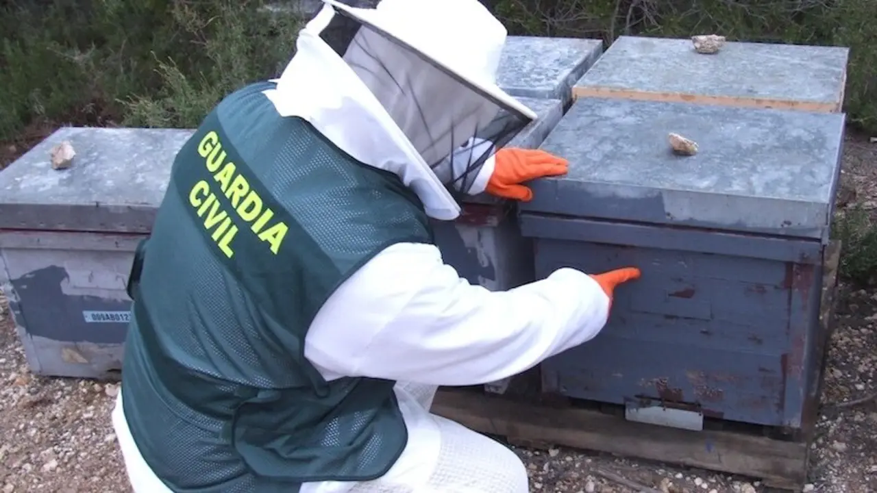 Dos vecinos detenidos por robar hasta 53 colmenas en Almansa (Albacete) para cobrar ayudas
