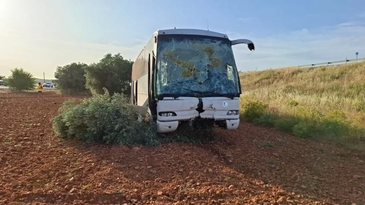 Alumnos ilesos tras colisionar un autobús escolar contra un olivar en Pozuelo de Calatrava (Ciudad Real)
