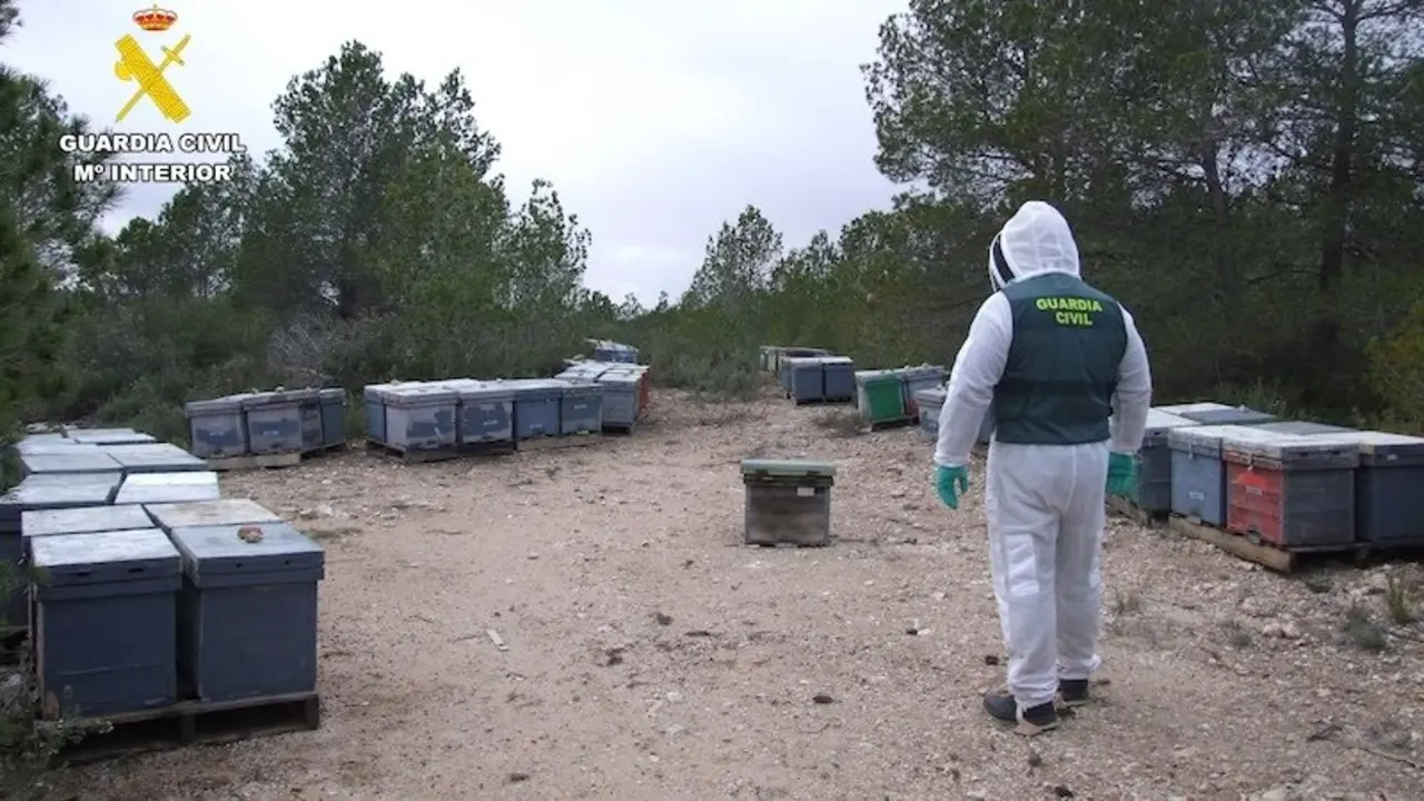 Detenido un hombre en Ayna (Albacete) por el hurto de quince colmenas en plena producción