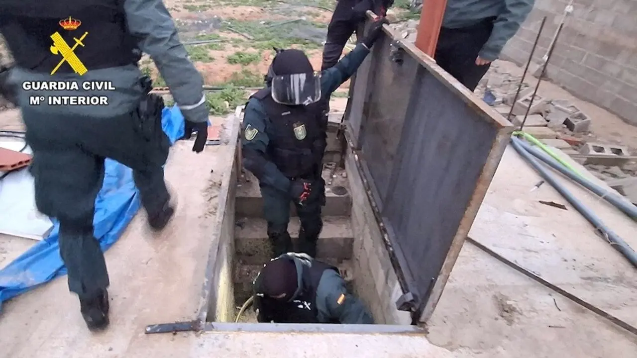 Desmantelados tres puntos de producción de marihuana con cinco detenidos en Albacete