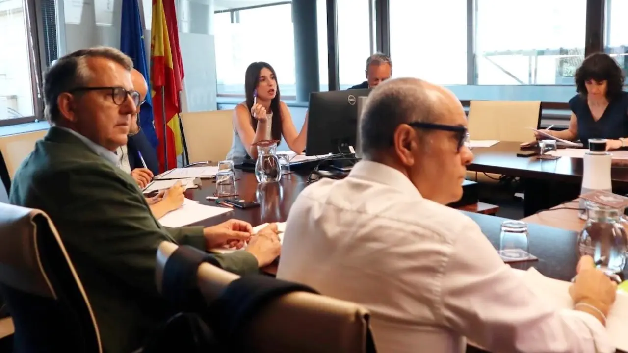 La directora general de Ordenación Agropecuaria, Lydia Benítez, ha presidido la Comisión Territorial de Seguros Agrarios de Castilla-La Mancha