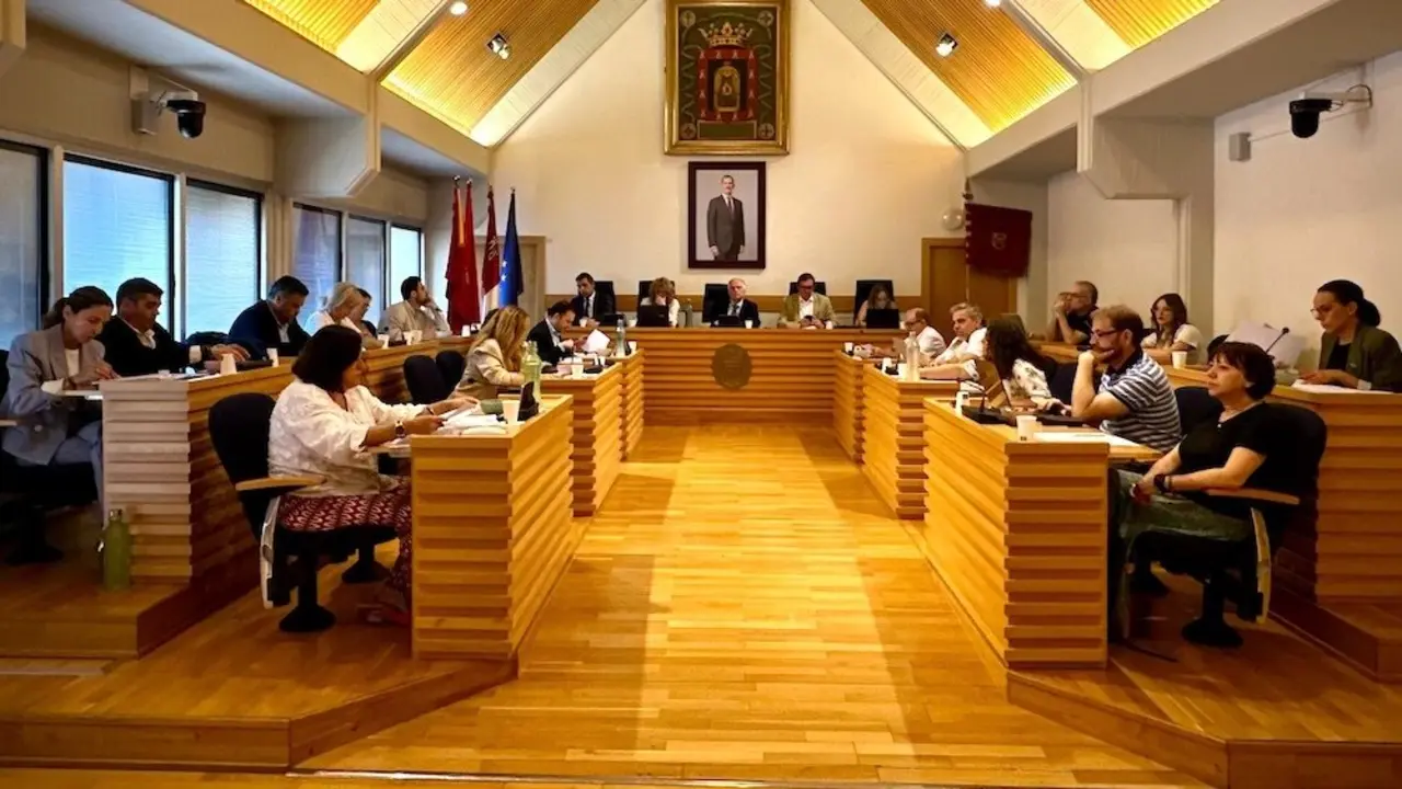 En la imagen un instante del Pleno del Ayuntamiento de Ciudad Real celebrado este viernes