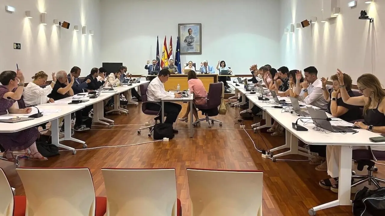 En la imagen un instante del Pleno del Ayuntamiento de Guadalajara celebrado este viernes