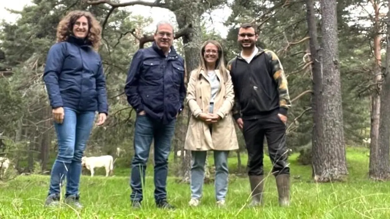 La Junta destina 151.000 euros en ayudas para proteger al ganado de ataques de lobos