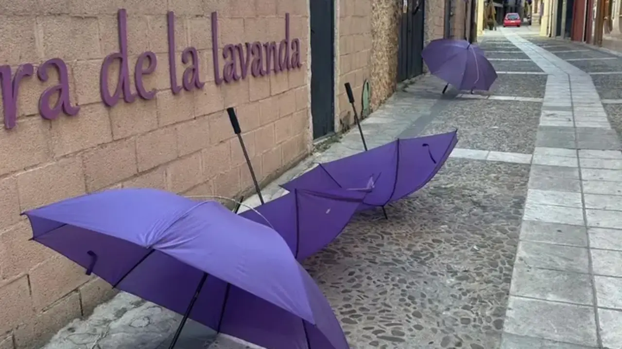 La decoración del Festival de Lavanda de Brihuega (Guadalajara) sufre varios actos vandálicos