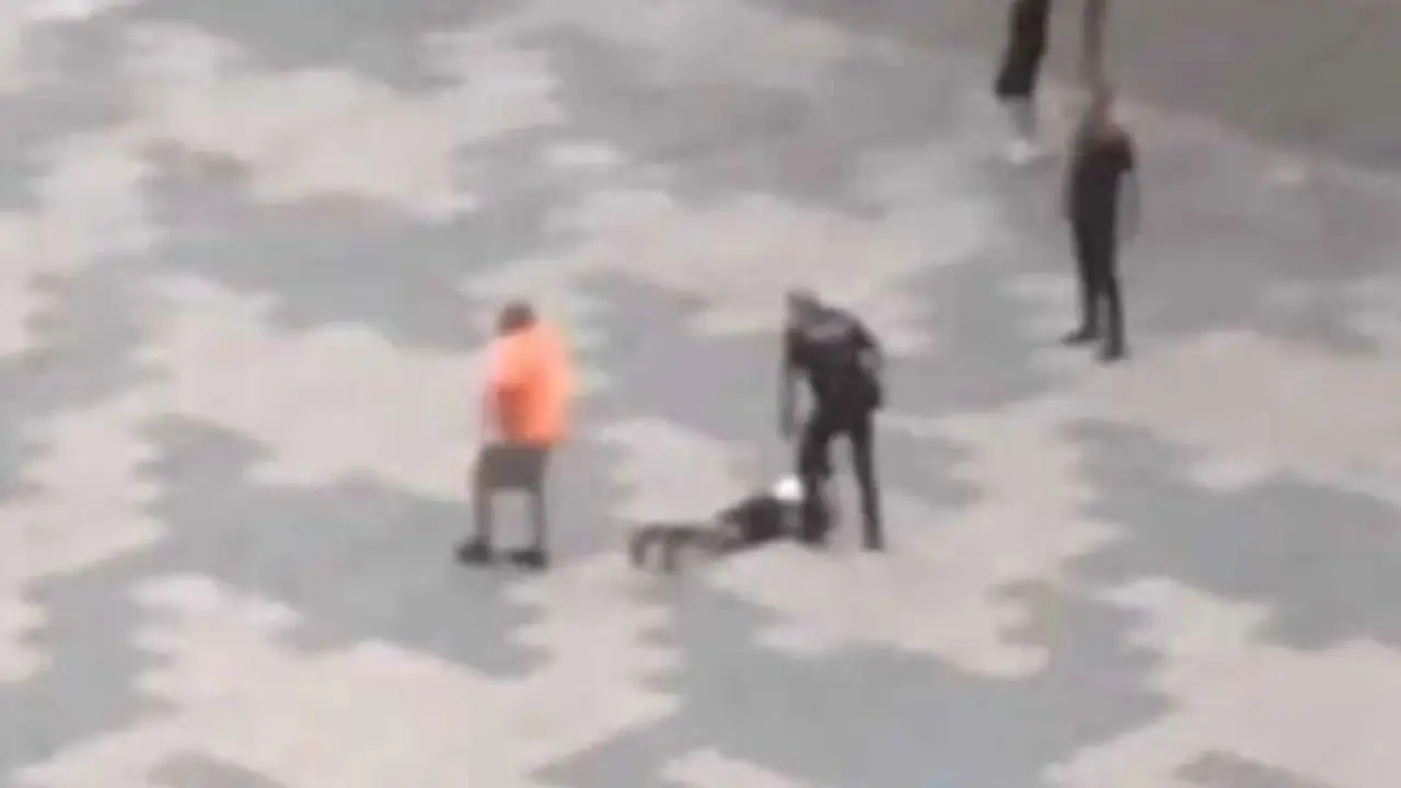 VIDEO. Pelea a golpes y con armas blancas: uno de los agresores está detenido