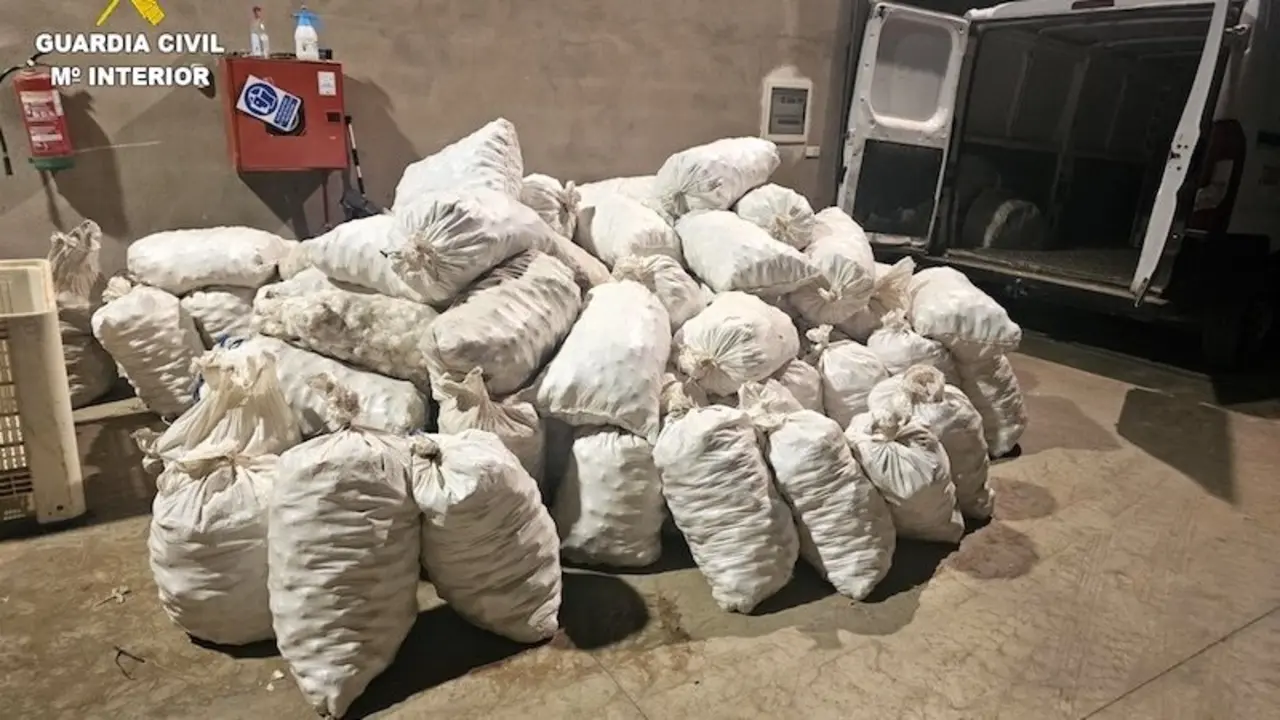 Un detenido y un investigado por el robo de ajos y receptación en Las Pedroñeras (Cuenca)