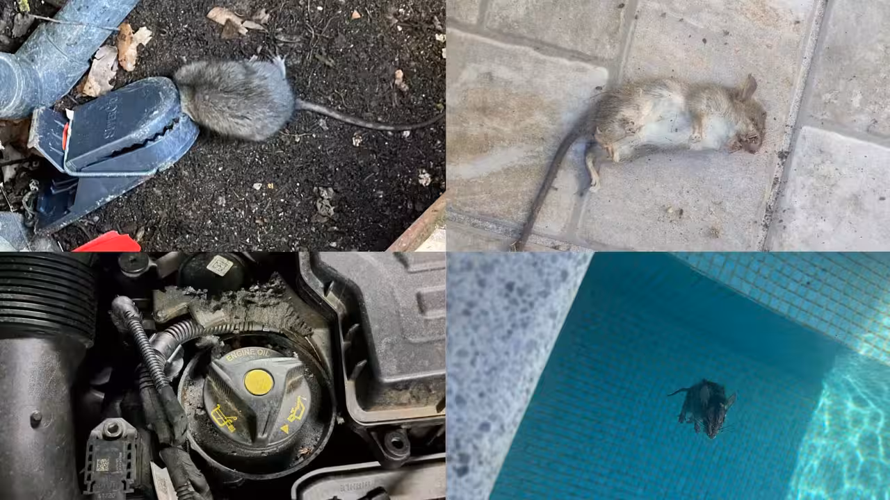 Imágenes cedidas por los vecinos del barrio de Valparaíso a SER Toledo / Cadena SER