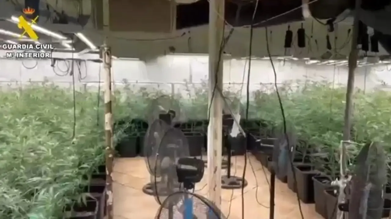 Dos detenidos en Novés (Toledo) por un cultivo 'indoor' con 308 plantas de marihuana