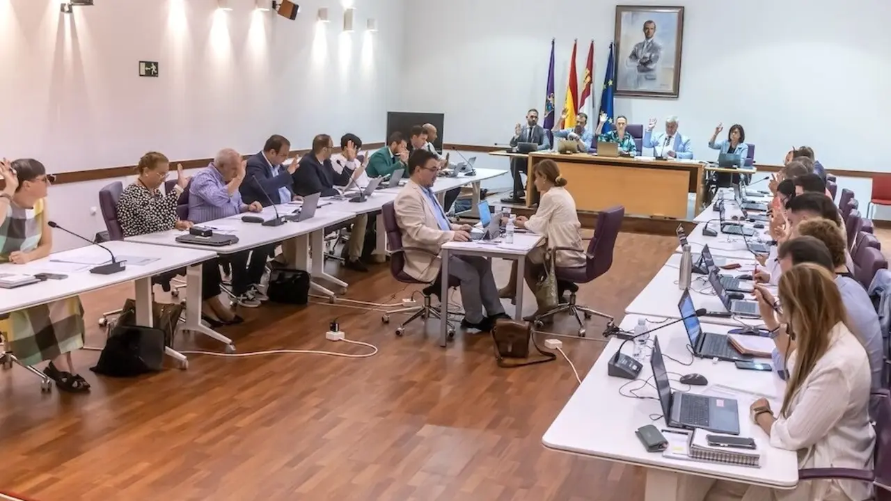 En la imagen un instante del Pleno del Ayuntamiento de Guadalajara celebrado este viernes