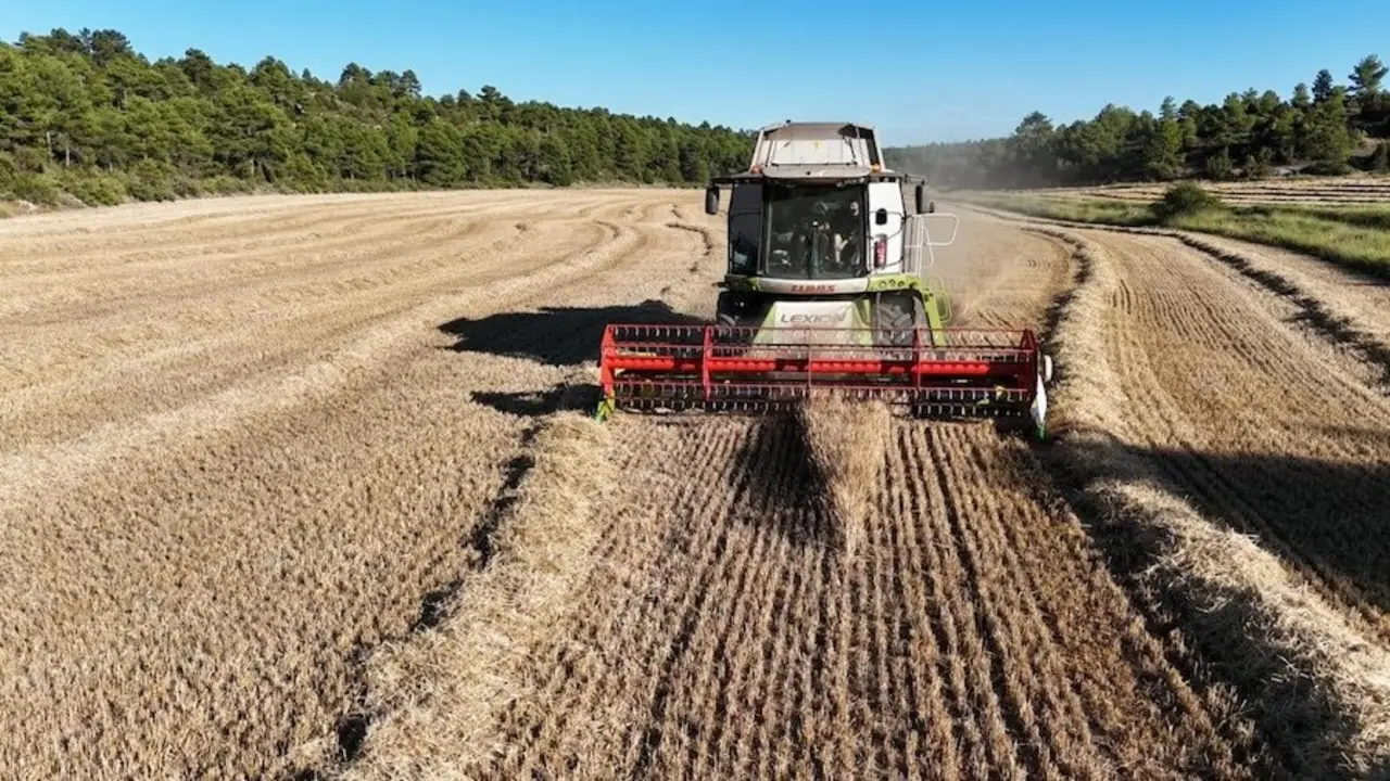 cosechadora, cosecha, cereal, maquinaria agrícola, sequía,