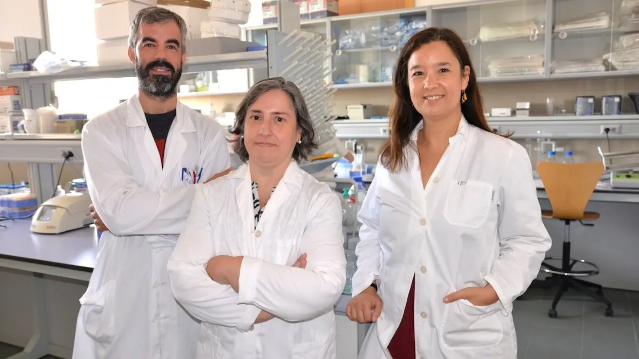 Un estudio pionero de la UCLM muestra que la combinación de cocaína y alcohol produce un daño cerebral mayor que su consumo por separado