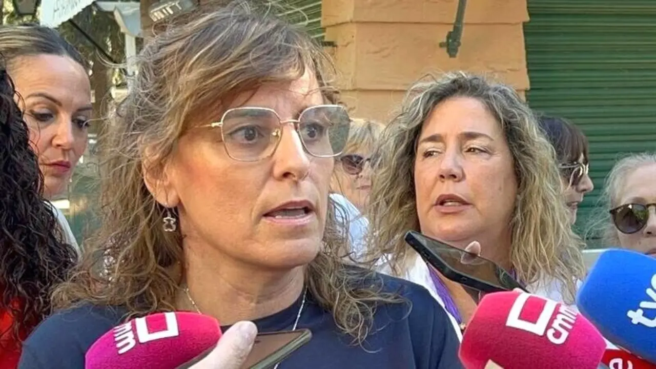 La viceportavoz del Grupo Municipal Socialista en el Ayuntamiento de Toledo, Ana Abellán, en una imagen de archivo