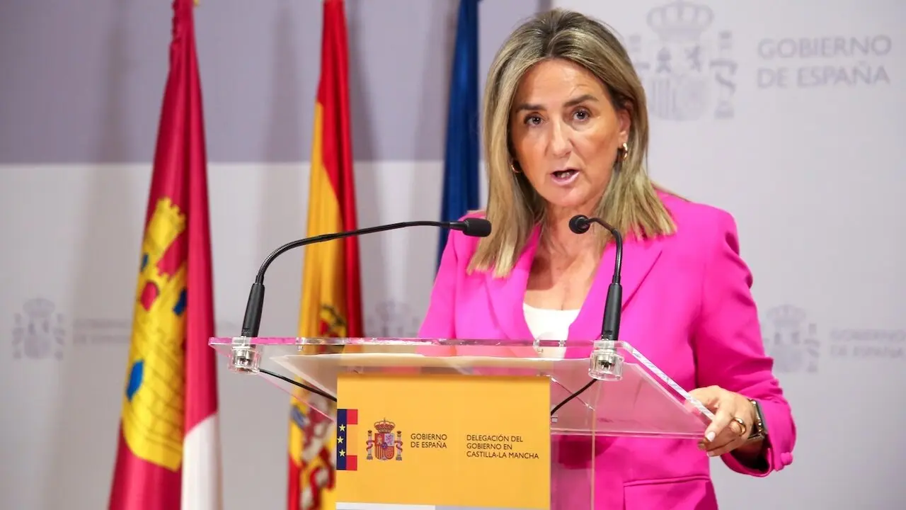 La delegada del Gobierno en Castilla-La Mancha, Milagros Tolón, durante la rueda de prensa que ha ofrecido