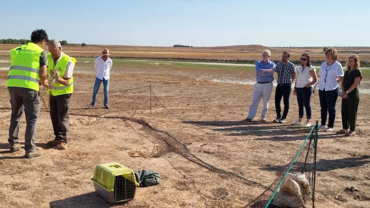 Tres equipos de huroneros profesionales controlan las zonas de alta densidad de conejos