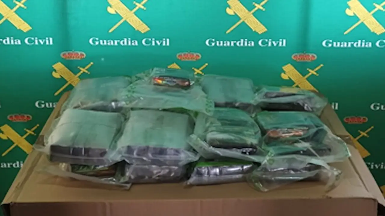 Detenido en Ciudad Real cuando transportaba quince kilos de hachís en un coche