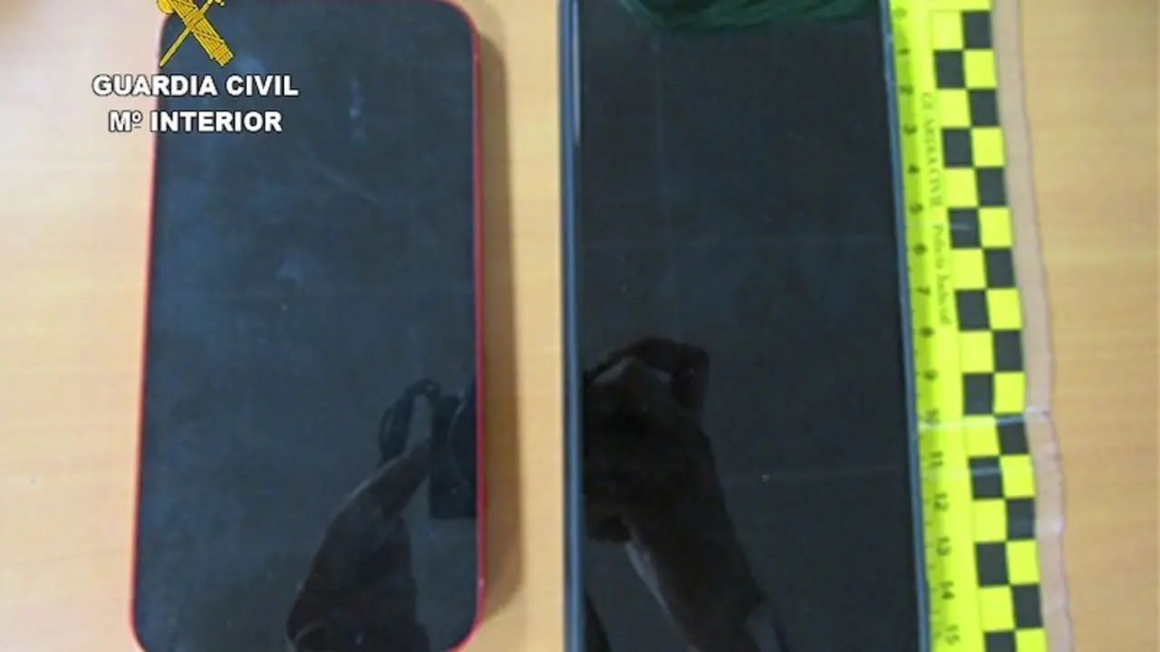 Detenidas cinco personas por hurtos en el interior de vehículos en Tomelloso (Ciudad Real)