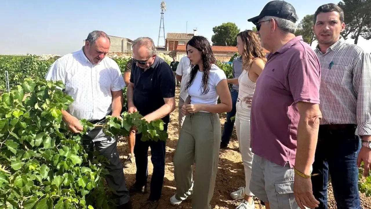 El consejero de Agricultura, Ganadería y Desarrollo Rural de Castilla-La Mancha, Julián Martínez Lizán, durante la visita que ha realizado junto a responsables de Agroseguro a una explotación de Tomelloso (Ciudad Real)