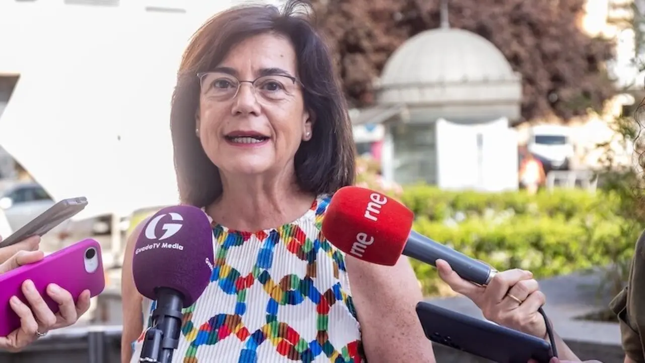 La cuarta teniente de alcalde y concejal delegada de Patrimonio Municipal del Ayuntamiento de Guadalajara, Isabel Nogueroles, atendiendo a los medios de comunicación