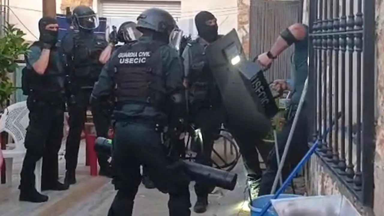 Cuatro detenidos en Letur (Albacete) con 85 plantas de marihuana, que pesaron 15 kilogramos