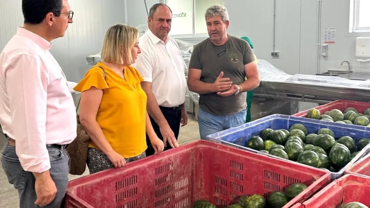 El consejero de Agricultura, Ganadería y Desarrollo Rural, Julián Martínez Lizán, durante la visita que ha realizado a la empresa Sócrates Hortícola S.L. en Camuñas (Toledo)