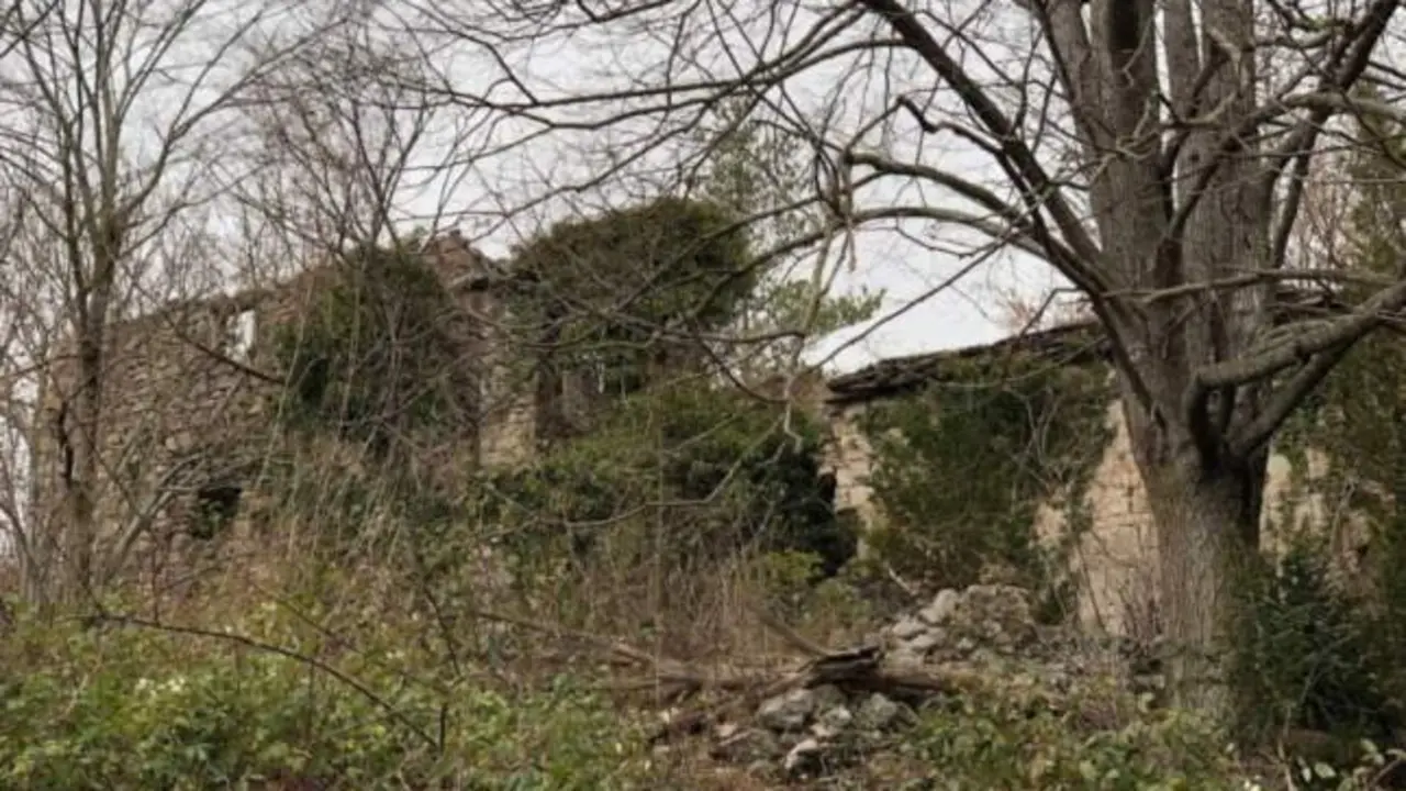 Macabro hallazgo: hallan un cadáver en los huesos semienterrado en un paraje