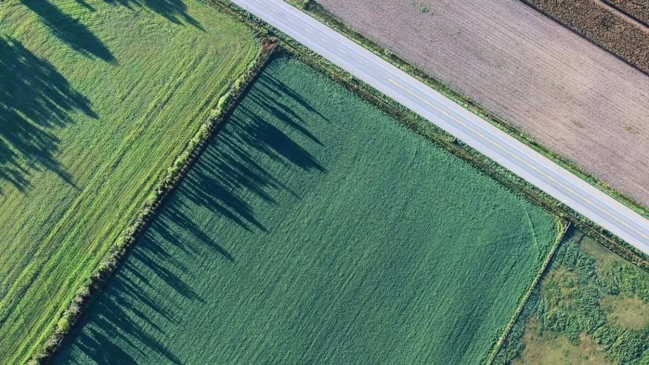 El Centro Cartográfico de Castilla-La Mancha adquiere 24.700 documentos fotográficos