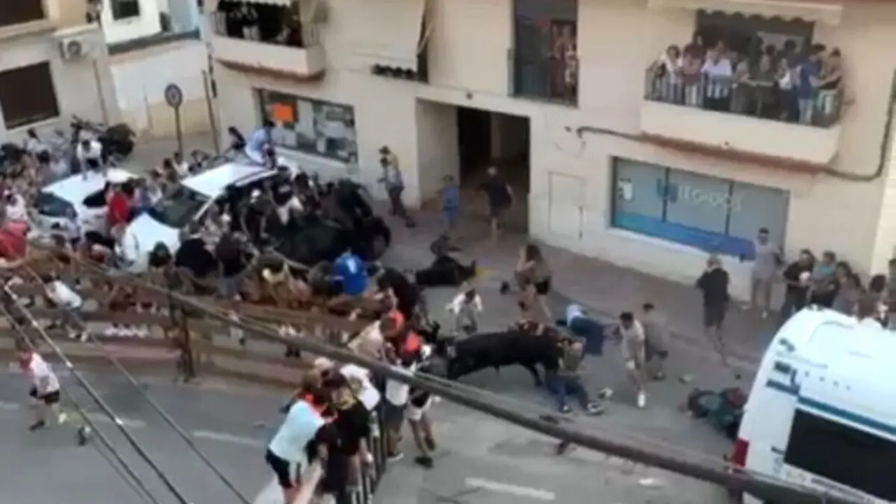 Tres personas heridas al ser atacadas por un novillo escapado en Alcalá del Júcar (Albacete)