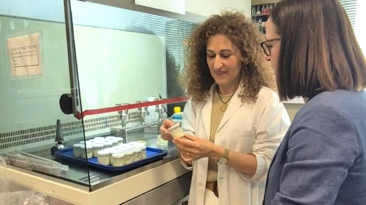 La Junta financia un proyecto de investigación para la mejora de análogos lácteos vegetales